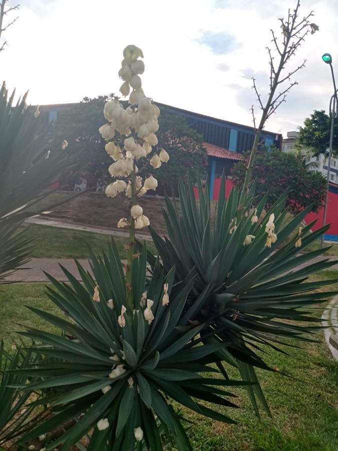 Apartamento Mobiliado 10 Minutos Da Praia Do Forte Cabo Frio Kültér fotó